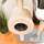 Bontoy Kratzbaum ZORA I 101cm I creme/grau