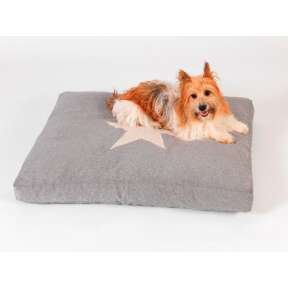 Dogs in the City Hundekissen STAR I grau I Stern 