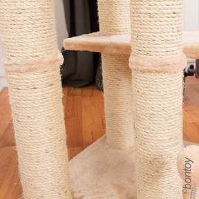 Bontoy Kratzbaum PASCHA I Deckenhoch I 240 - 260 cm I creme