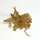 Thempa Multipack Snacks Katze, 3 x 50g