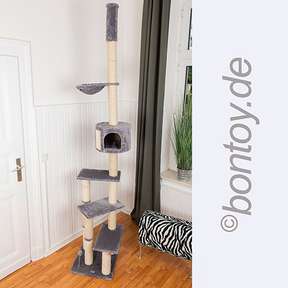 Bontoy Kratzbaum PASCHA I Deckenhoch I  240 - 260 cm I grau